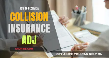 Becoming a Collision Insurance Adjuster: Steps to Success