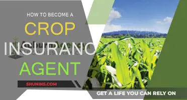 Becoming a Crop Insurance Agent: Steps to Success