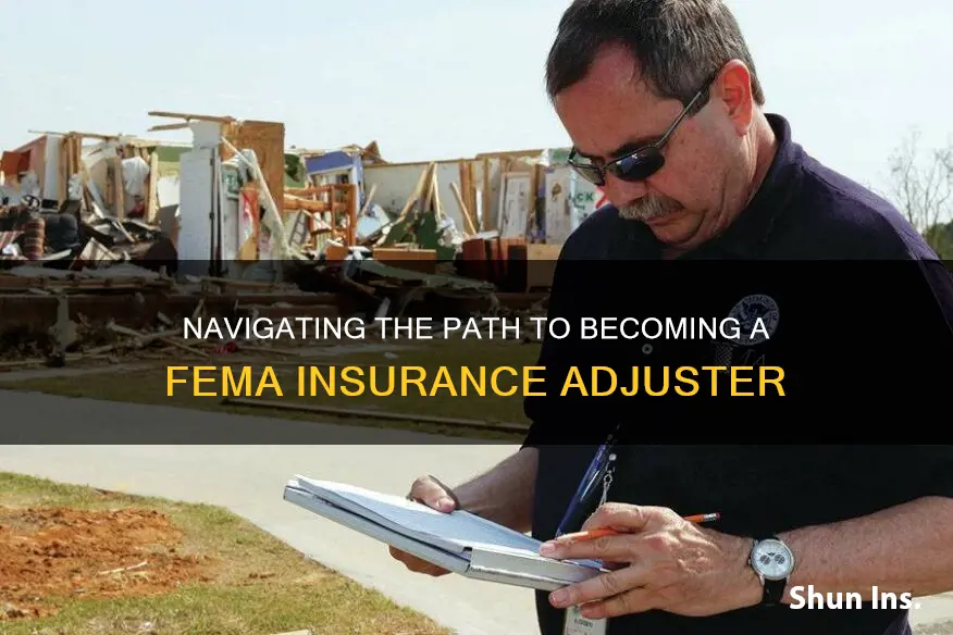 how to become a fema insurance adjuster