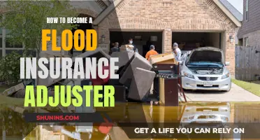 Flood of Opportunities: A Guide to Becoming a Flood Insurance Adjuster