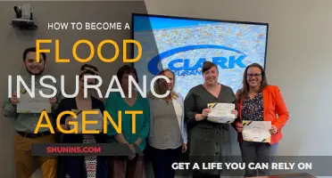 Flood Insurance Agent: Steps to Start and Succeed