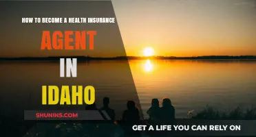 Steps to Launch Your Health Insurance Agent Career in Idaho