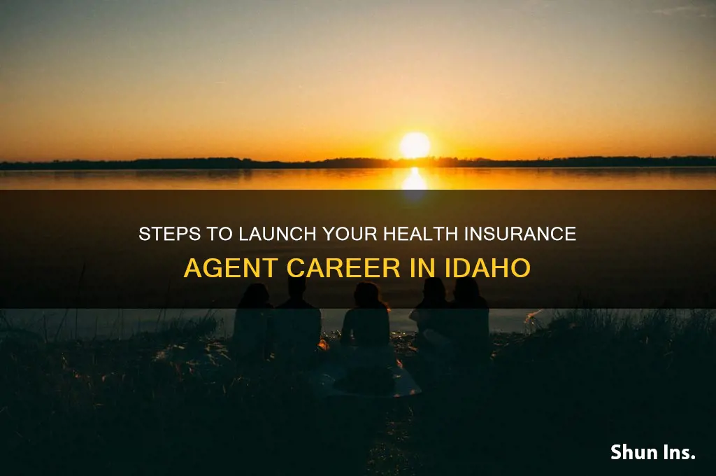 how to become a health insurance agent in idaho