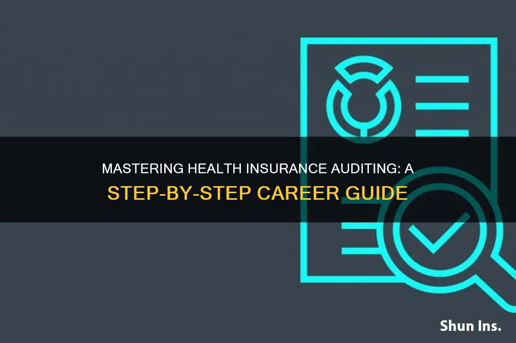 how to become a health insurance auditor