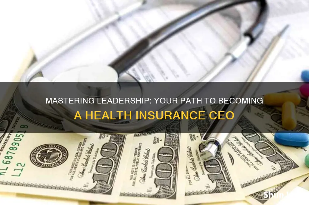 how to become a health insurance ceo