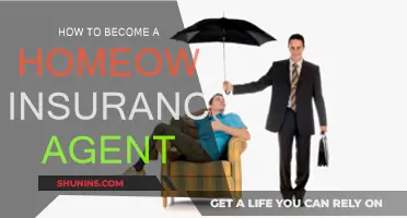 Becoming a Successful Homeowner Insurance Agent