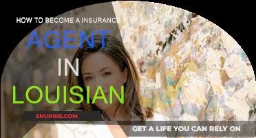 Becoming an Insurance Agent: Louisiana's Guide