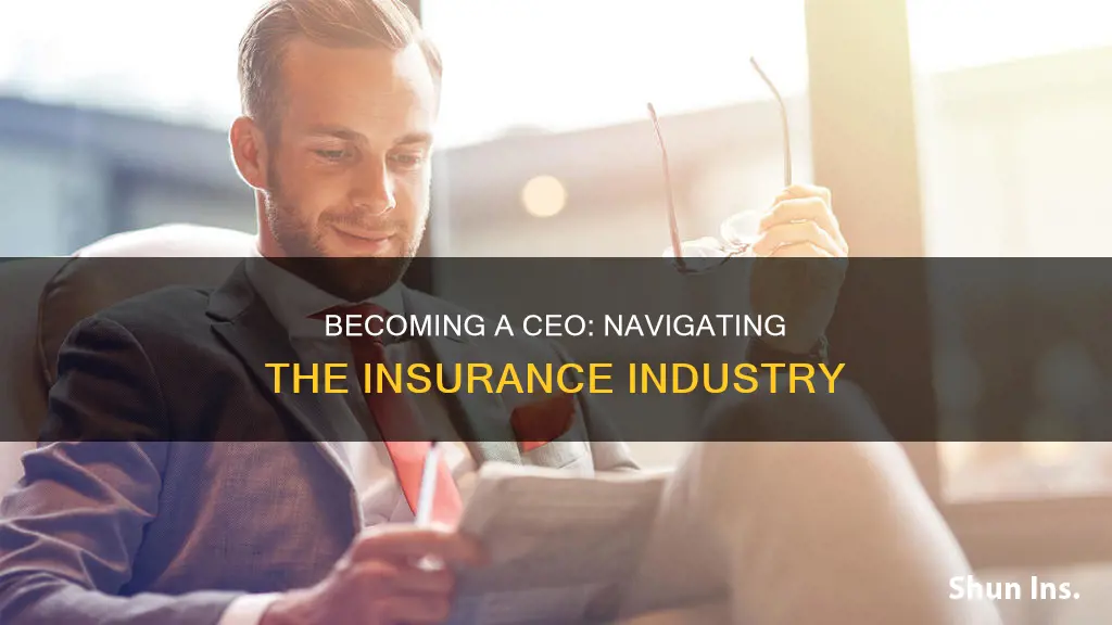 how to become a insurance chief executive officer