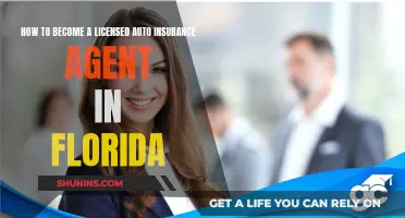 Becoming a Licensed Auto Insurance Agent in Florida