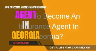 Get Your Georgia Auto Insurance License: A Guide