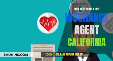 Becoming a Life Insurance Agent in California: A Guide