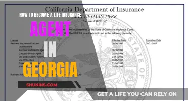 Becoming a Life Insurance Agent in Georgia: A Guide