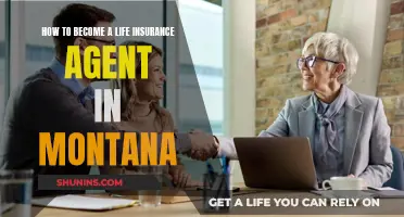 Becoming a Life Insurance Agent in Montana: A Guide