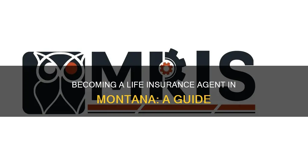 how to become a life insurance agent in montana