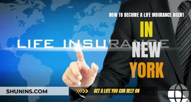 Becoming a Life Insurance Agent: New York Requirements