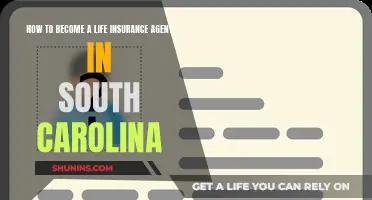 Becoming a Life Insurance Agent in South Carolina: A Guide