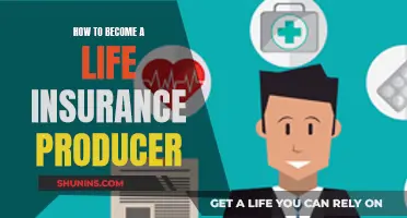 Becoming a Life Insurance Producer: Steps to Success