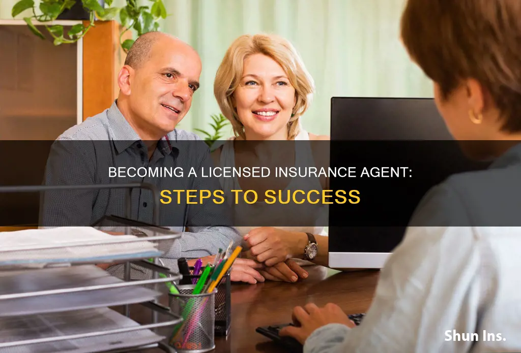 how to become a lsienced insurance agegent