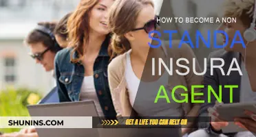 Becoming a Non-Standard Insurance Agent: Steps to Success