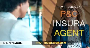 Becoming a Successful P&C Insurance Agent: A Guide