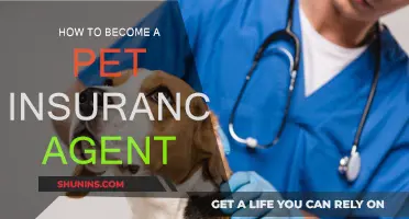 Becoming a Pet Insurance Agent: Steps to Success