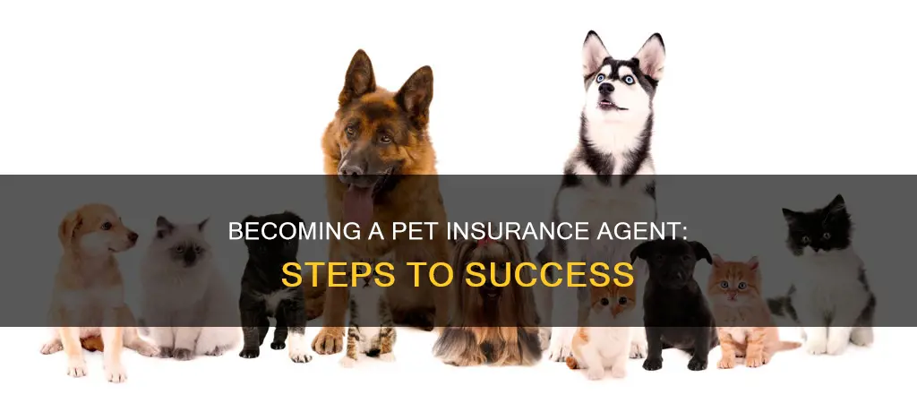 how to become a pet insurance agent