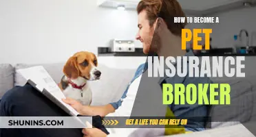 Becoming a Pet Insurance Broker: Steps to Success