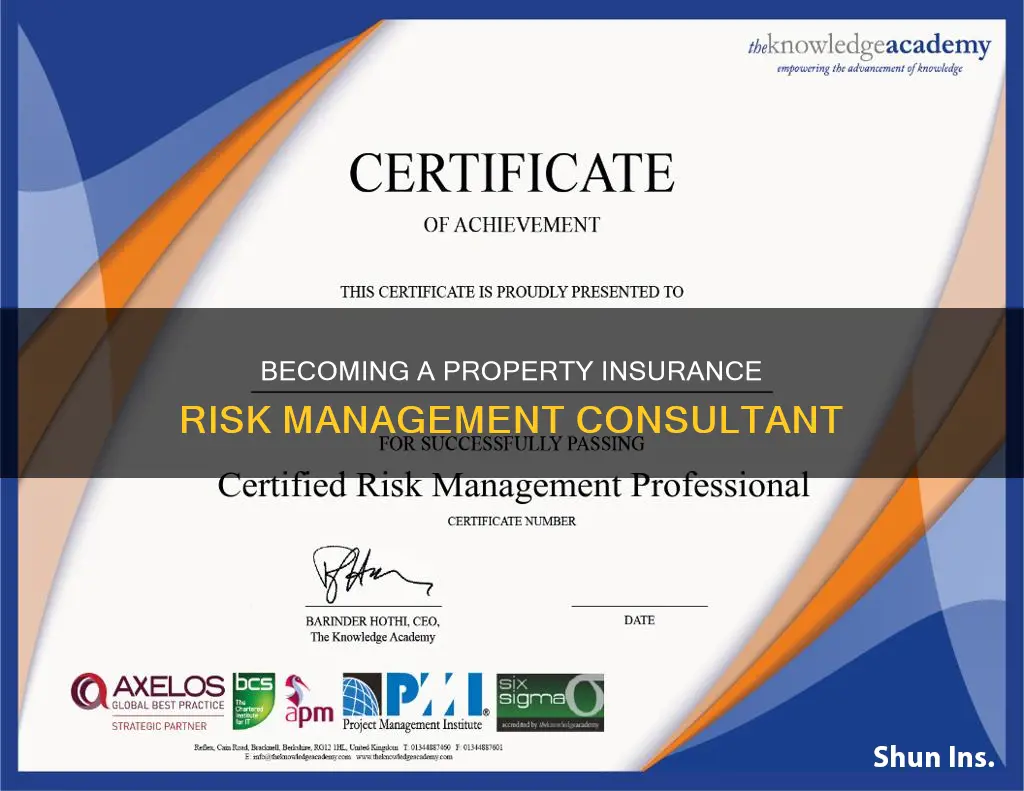 how to become a risk management consultant for property insurance