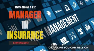 Becoming an Insurance Risk Manager: Steps to Success