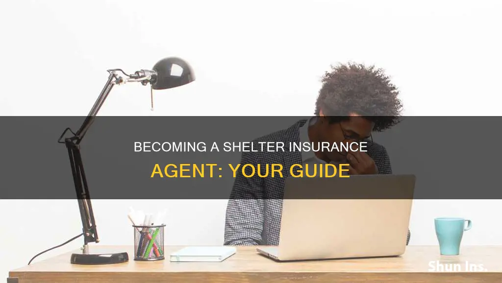 how to become a shelter insurance agent