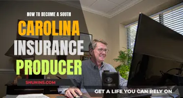 Becoming an Insurance Producer: South Carolina Requirements and Steps