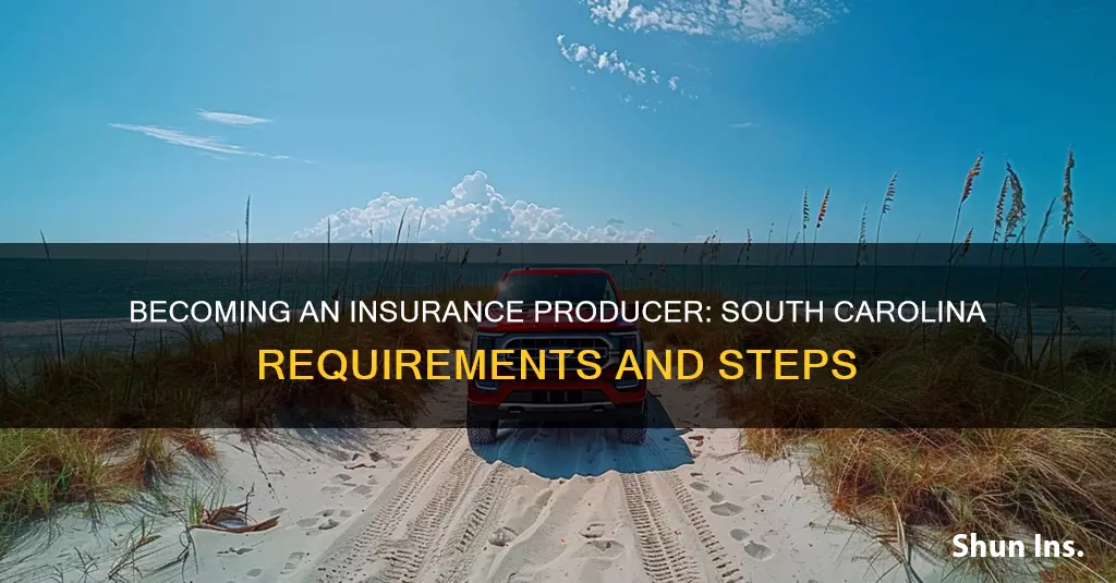 how to become a south carolina insurance producer