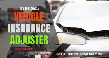 Vehicle Adjuster: How to Start