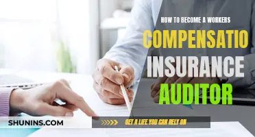 Becoming an Insurance Auditor: Steps to Success