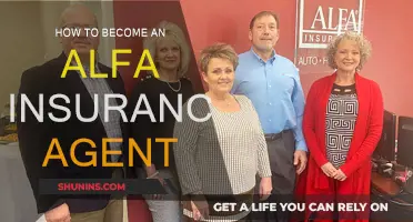 Steps to Becoming an Alfa Insurance Agent