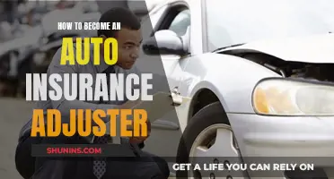 Pursuing a Career as an Auto Insurance Adjuster