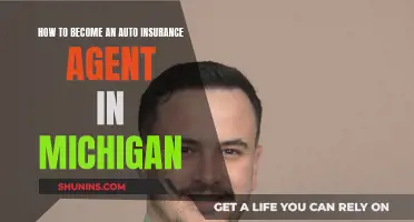 Becoming an Auto Insurance Agent in Michigan: A Guide