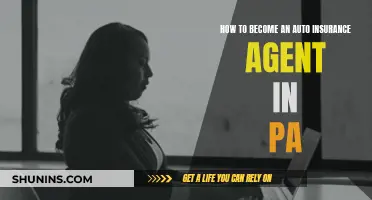 The Path to Becoming an Auto Insurance Agent in PA