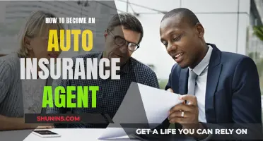 Steps to Becoming an Auto Insurance Agent