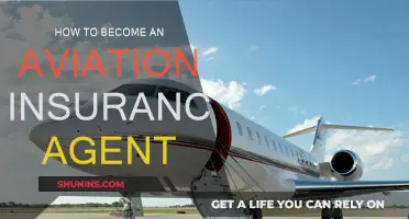Becoming an Aviation Insurance Agent: Steps to Success