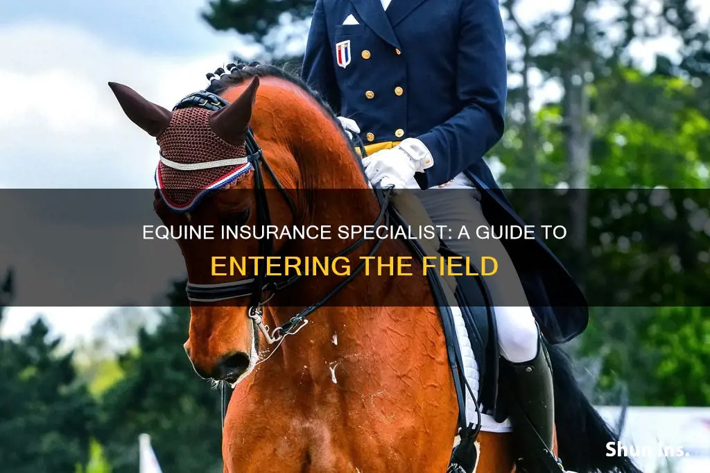 how to become an equine insurance specialist