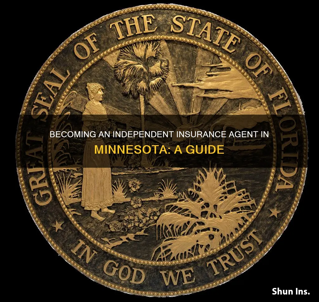 how to become an independent insurance agent in minnesota