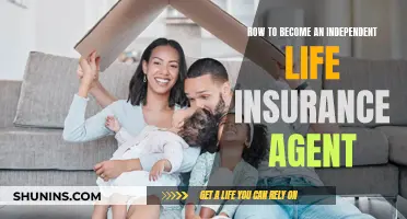 Becoming a Successful Independent Life Insurance Agent