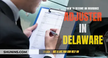 Pursuing a Career as an Insurance Adjuster in Delaware: A Comprehensive Guide