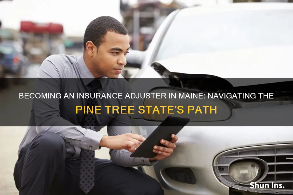 how to become an insurance adjuster in Maine