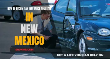 Unraveling the Path to Becoming an Insurance Adjuster in New Mexico