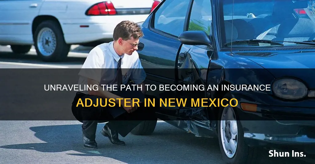 how to become an insurance adjuster in new mexico