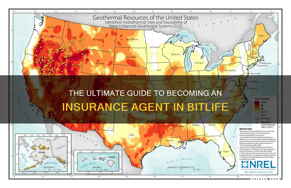 how to become an insurance agent in bitlife