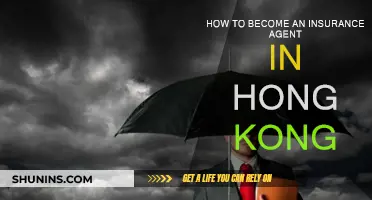 Becoming an Insurance Agent: Hong Kong Requirements
