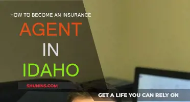 Becoming an Idaho Insurance Agent: Steps to Success